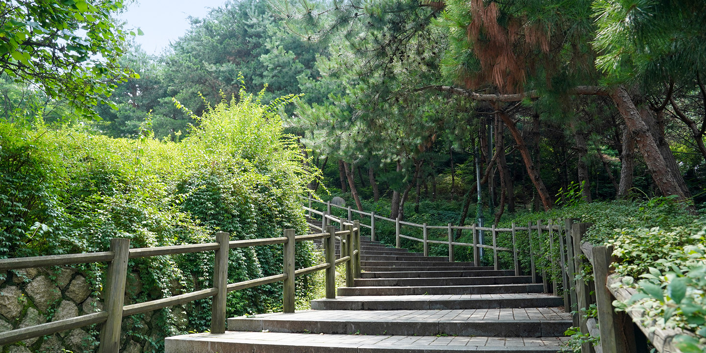 조깅코스 상세 이미지 2