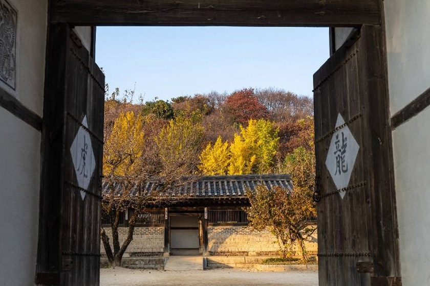 한국민속촉