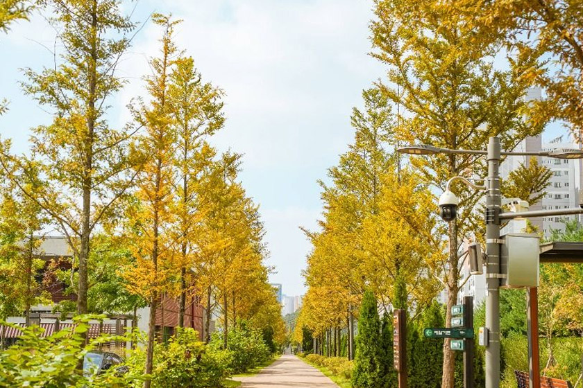 Pureun Arboretum