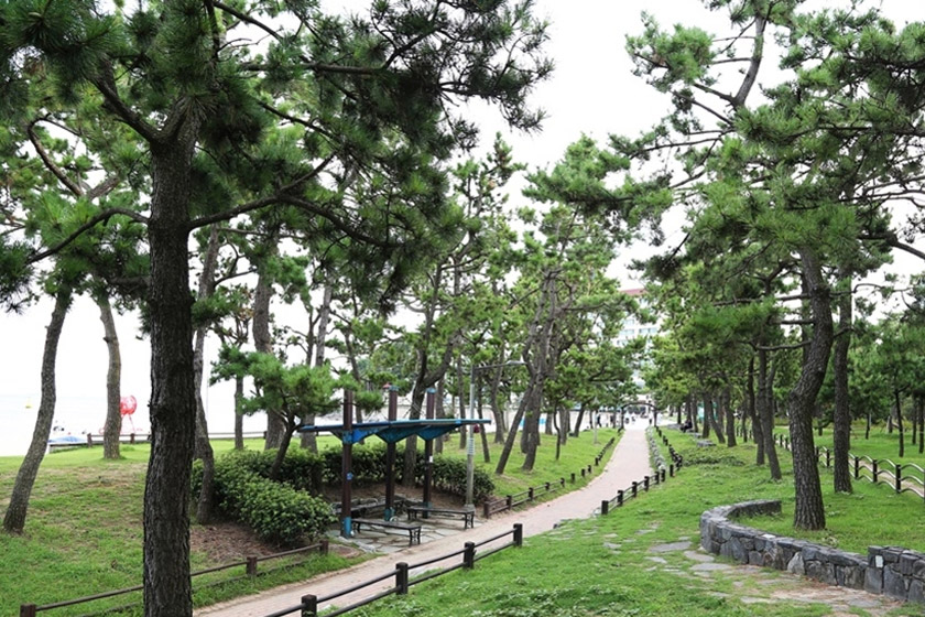 松林（ソンリム）公園