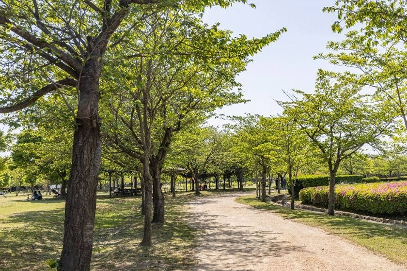 乙淑（ウルスク）島生態公園