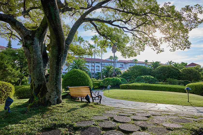 Experience Jeju
