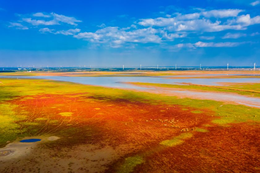 Tiaozini Wetland