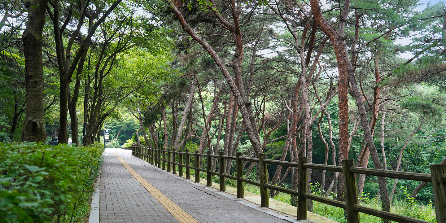 慢跑路线3