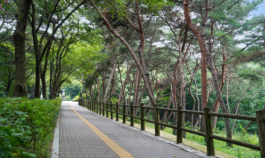 조깅코스