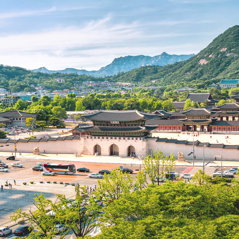 Curated by The Shilla Seoul - Tour Experience