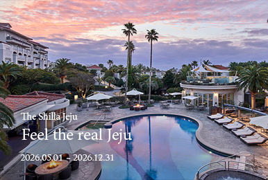 Rewards Feel the Real Jeju