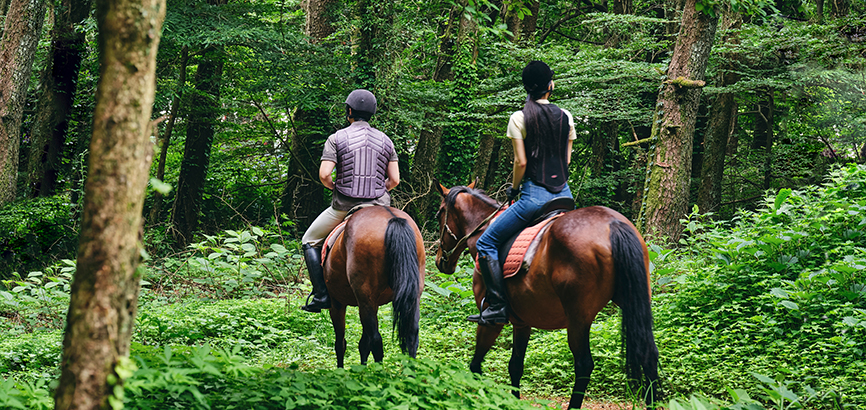 Rewards Along with G.A.O. for Couple